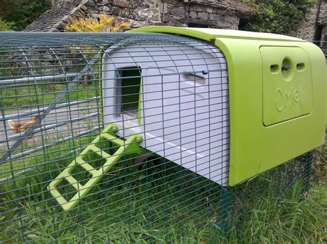 The Eglu Cube chicken coop is perfect for growing flocks, especially when paired with our walk in chicken run. . Eglu cube chicken coop